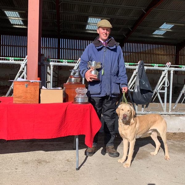 KC working labradors x OFTW Bluecreek curtis cash