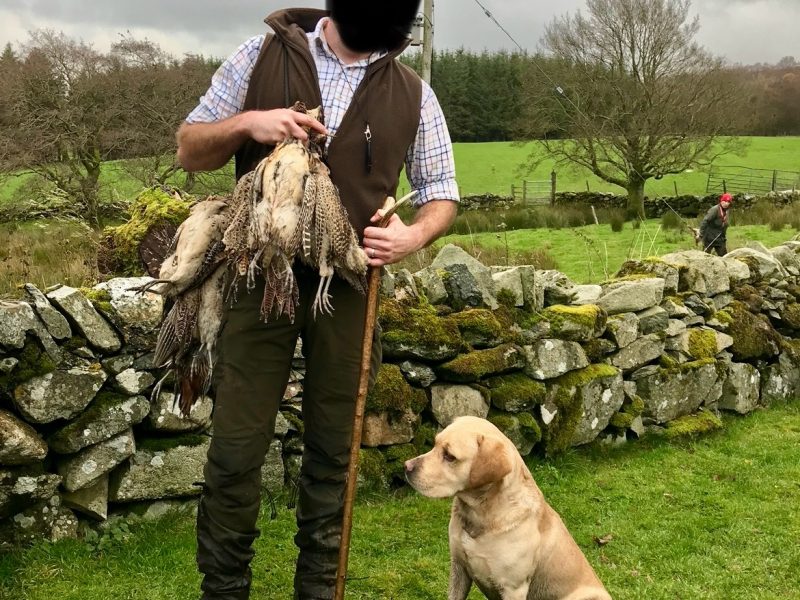 Labrador retriever puppies Leadburn, Buccleuch, Drakeshead, Chatsworth FCCH FTW blood lines