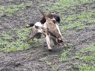 Ftch x ftaw EES bitch