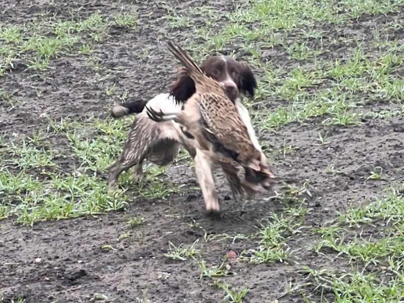 Ftch x ftaw EES bitch