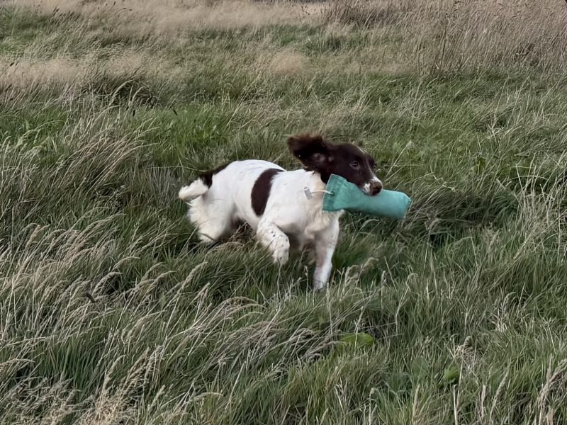 Ftch x ftaw EES bitch