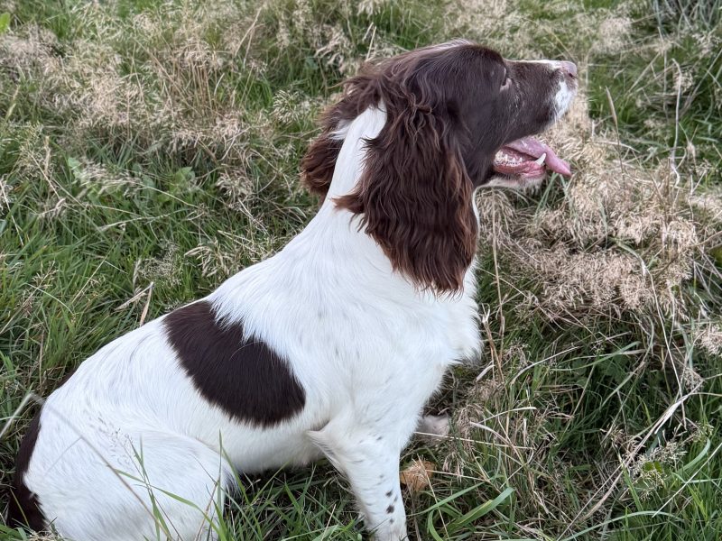 Ftch x ftaw EES bitch