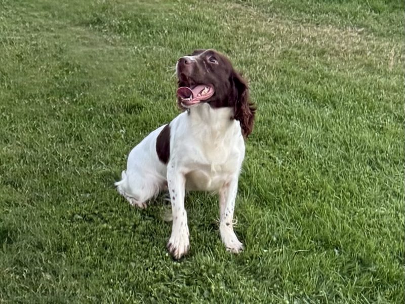 Ftch x ftaw EES bitch