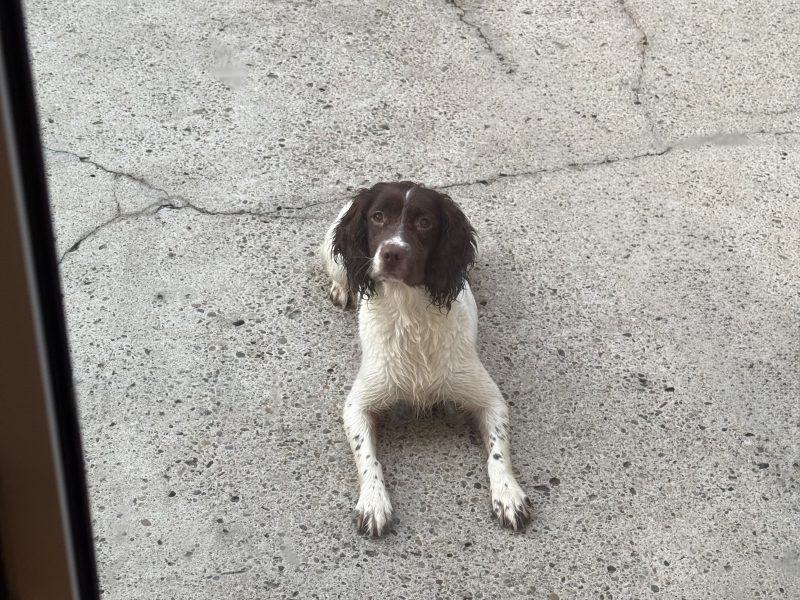 Ftch x ftaw EES bitch