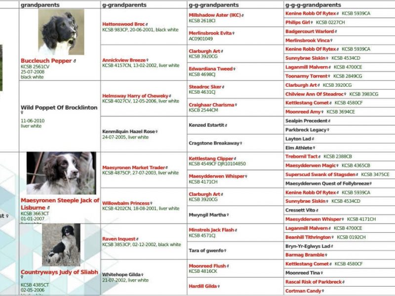 Ftch x ftaw EES bitch