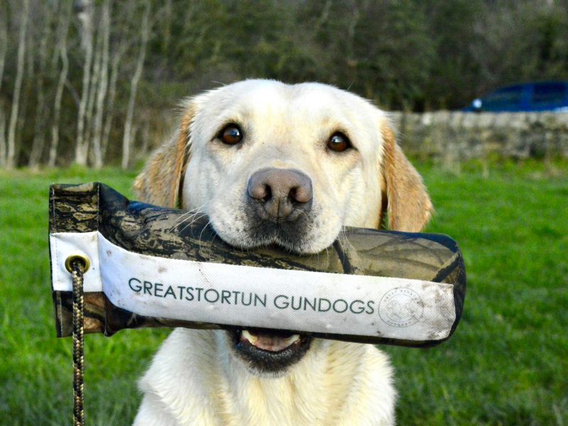 FTCH X IGL CHAMPION 🏆 2016 DAUGHTER