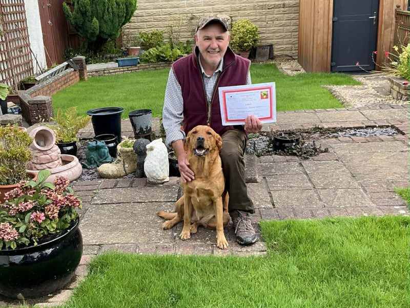 Kentwone Peony Glow (Harleigh) / FTCH Jarailstar Hogen of Stauntonvale (Brae) - Litter coming soon